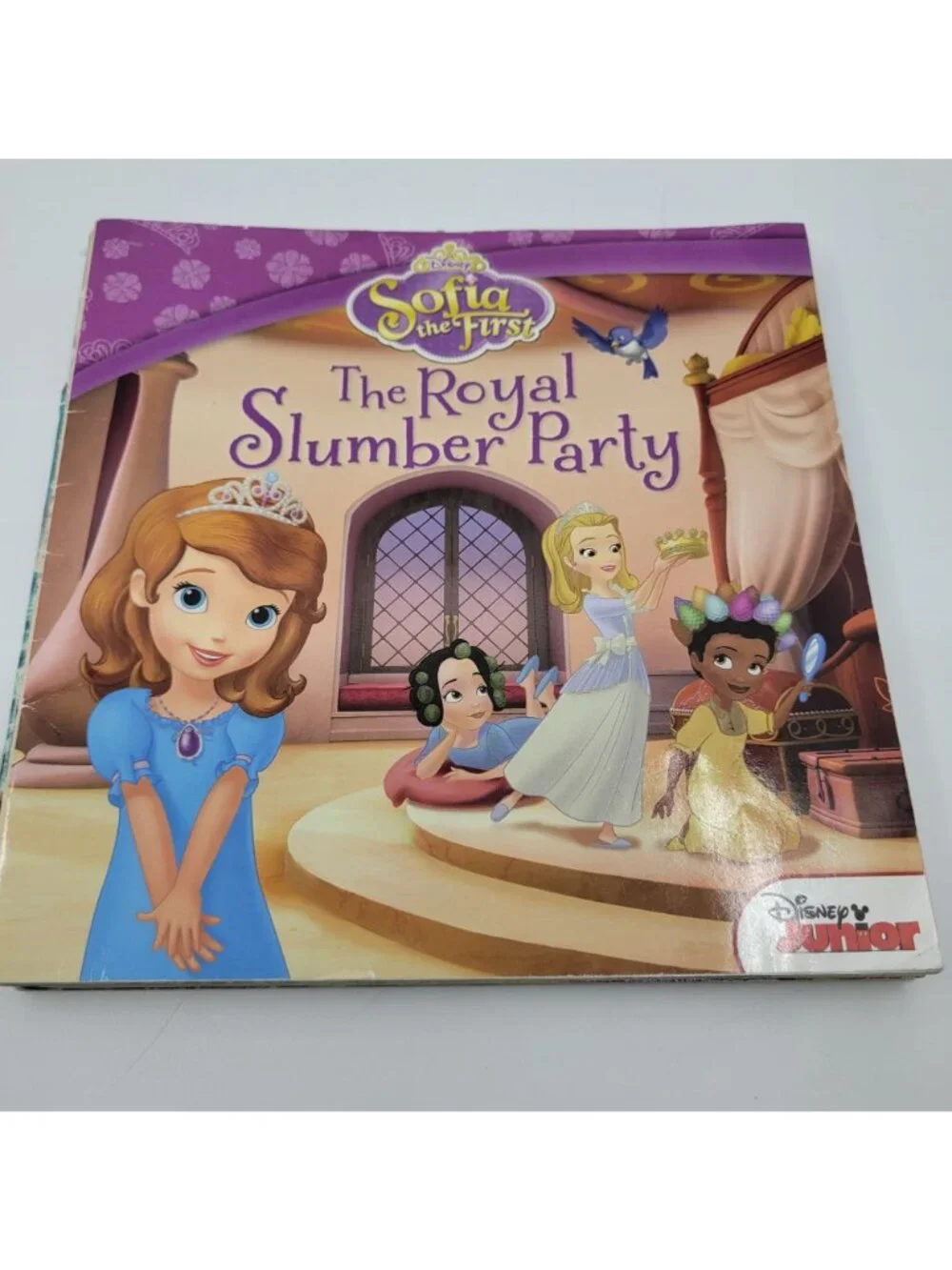 DISNEY PRINCESS Lot of 7 Children's Story Books Sophia the First, Moana - BB216